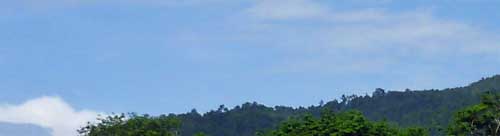 b0063436_18373651.jpg