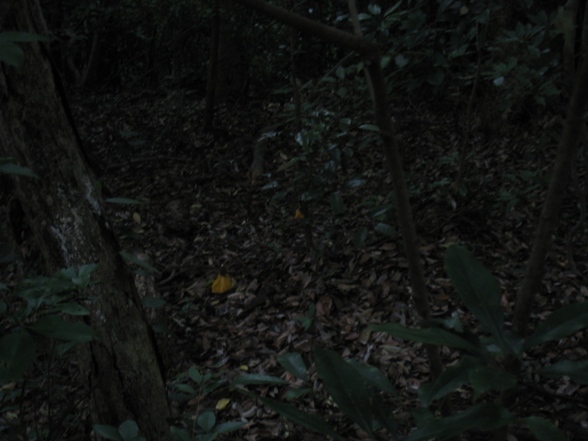c0077338_61522.jpg