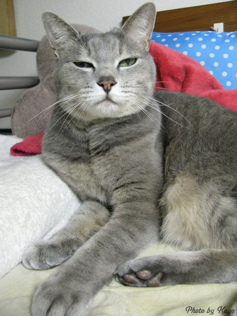 a0117440_2131890.jpg