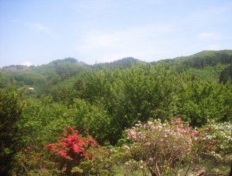 c0205840_22464264.jpg