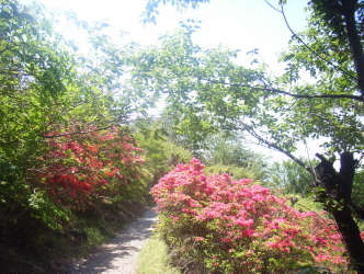 c0205840_22472238.jpg