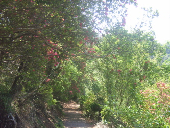 c0205840_22475281.jpg