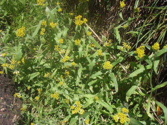 c0205840_22484137.jpg