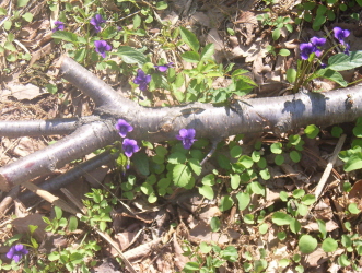 c0205840_22485768.jpg
