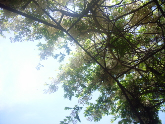 c0205840_22491931.jpg