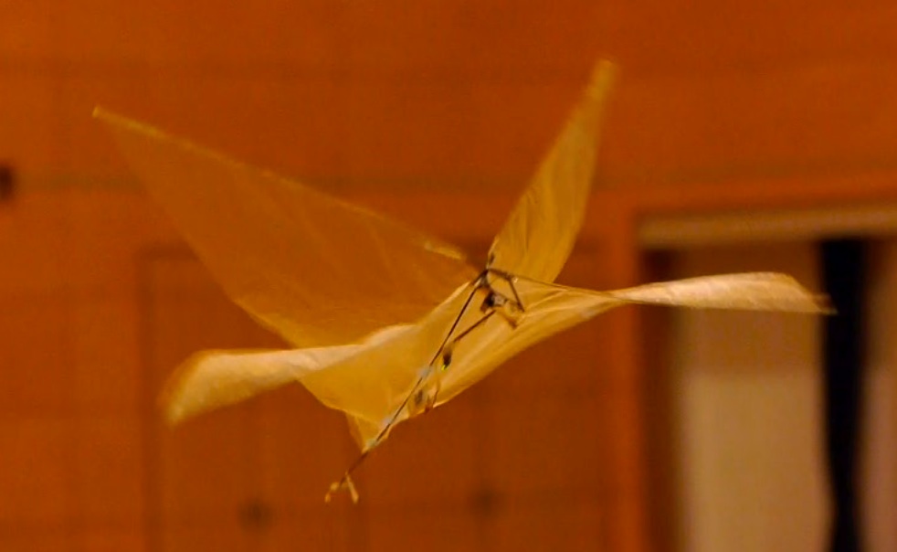 20110626 IAC-ASO GH2 テスト撮影_d0067943_1230982.jpg