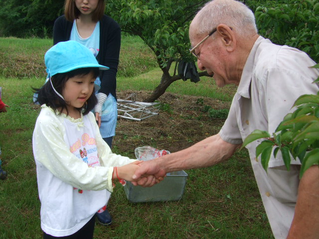 梅もぎ_d0166047_21361553.jpg