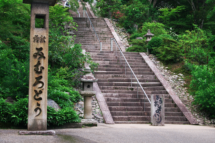 紫陽花咲く三室戸寺（前編）_f0155048_17375995.jpg