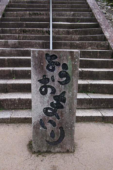 紫陽花咲く三室戸寺(前編)_f0155048_1738223.jpg