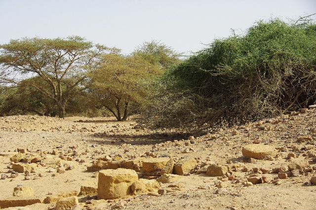 c0011649_50150.jpg