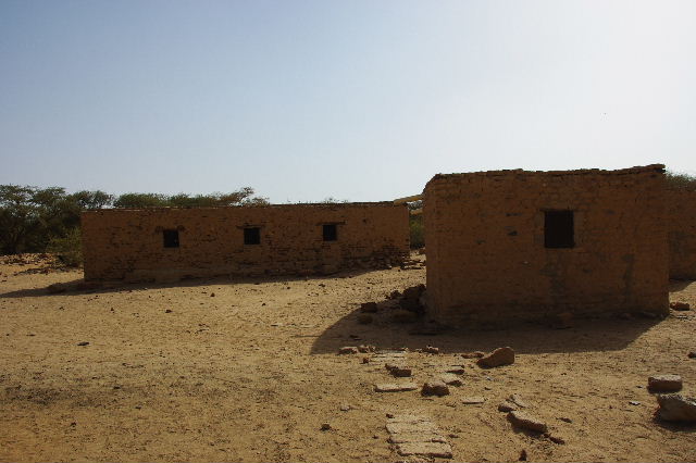 c0011649_592358.jpg