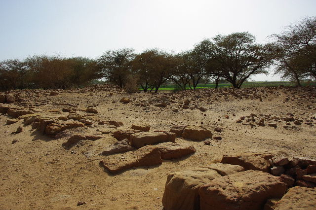 c0011649_59504.jpg