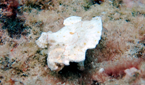 a0122752_17162043.jpg