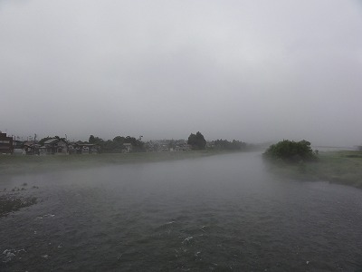 朝5時の様子_a0084753_830214.jpg