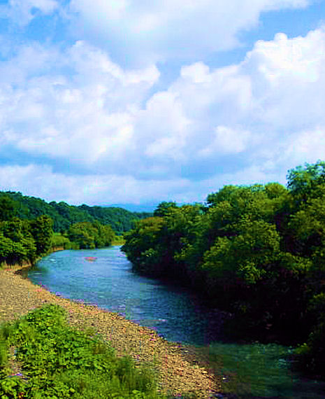 c0050857_21253790.jpg