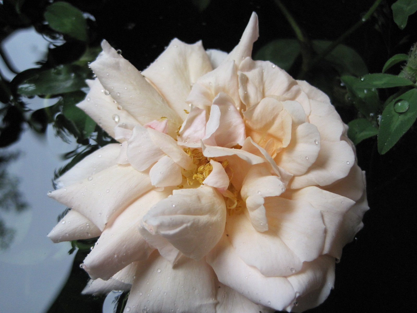 f0236260_20312813.jpg