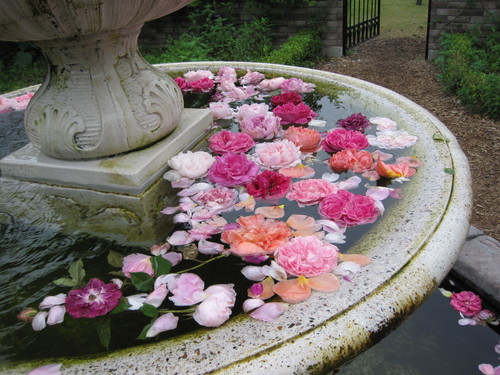 f0236260_22441162.jpg