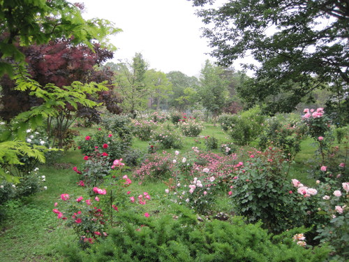 f0236260_2249577.jpg