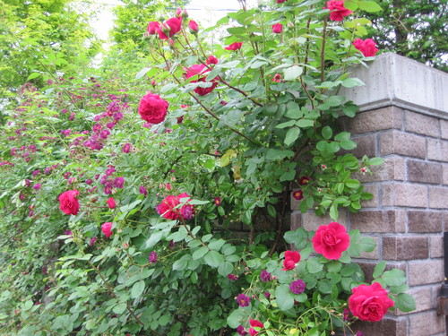 f0236260_2320321.jpg