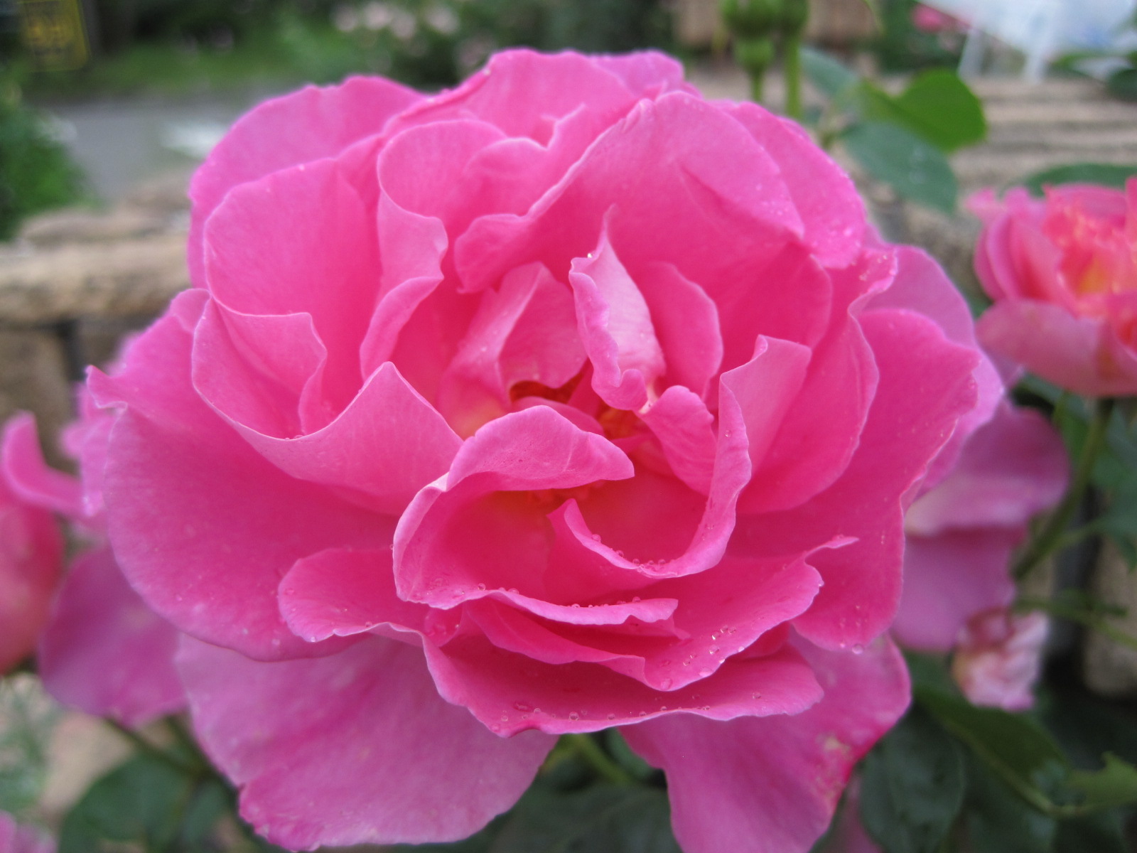 f0236260_23373817.jpg