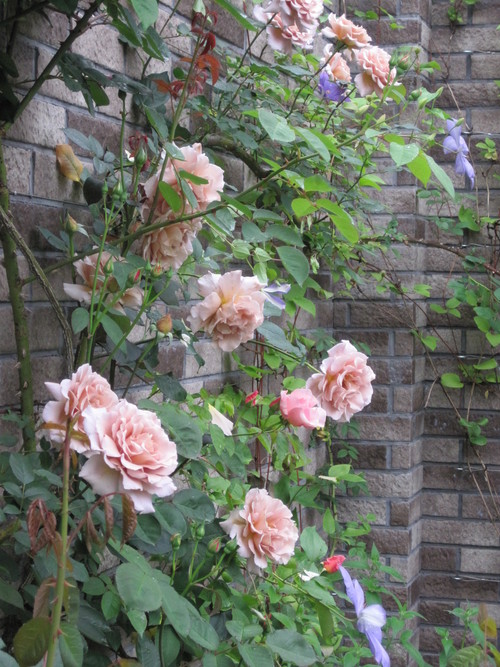 f0236260_23535974.jpg