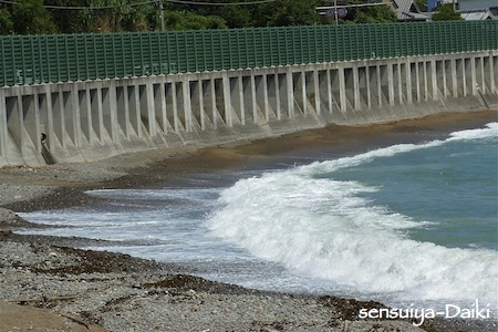 2011.06.26 Sun. みなべ・田辺_e0158261_719476.jpg