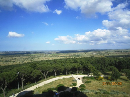 d0023862_21365858.jpg