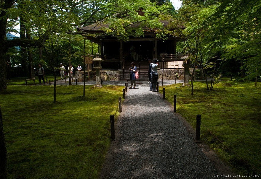 三千院～あじさい祭り_f0102363_0324835.jpg