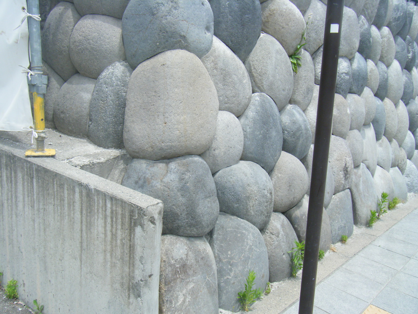 b0120165_21364653.jpg