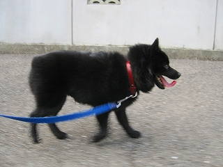 e0002466_18553743.jpg