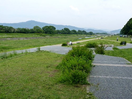 京都の旅・初夏（二十）　鴨川散歩　アオサギ、ツマグロヒョウモン_d0084473_2029483.jpg