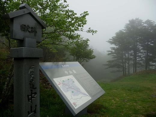 街道歩き：中仙道（和田峠～和田宿）その１_f0049074_674347.jpg