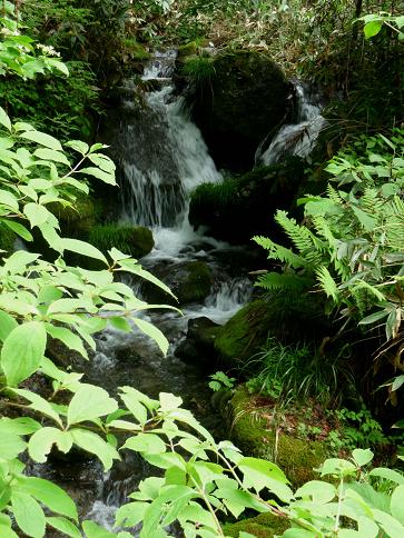 街道歩き：中仙道（和田峠～和田宿）その１_f0049074_691667.jpg