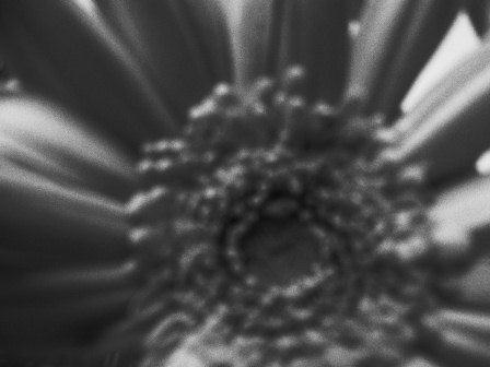 f0215475_23172233.jpg