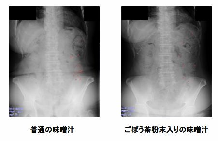 20110623 日経プレスリリース　ごぼう茶便秘改善研究発表_a0200478_021549.jpg