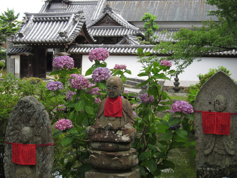 独特で控え目に鮮やかなアジサイがモノトーンの寺を彩るー奈良・矢田寺_e0138081_1252305.jpg