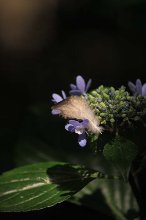 c0177785_5561159.jpg