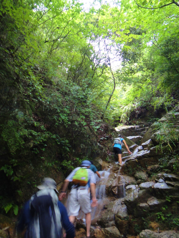 2011/06/27 Rock Garden Hiking_b0220886_18351284.jpg