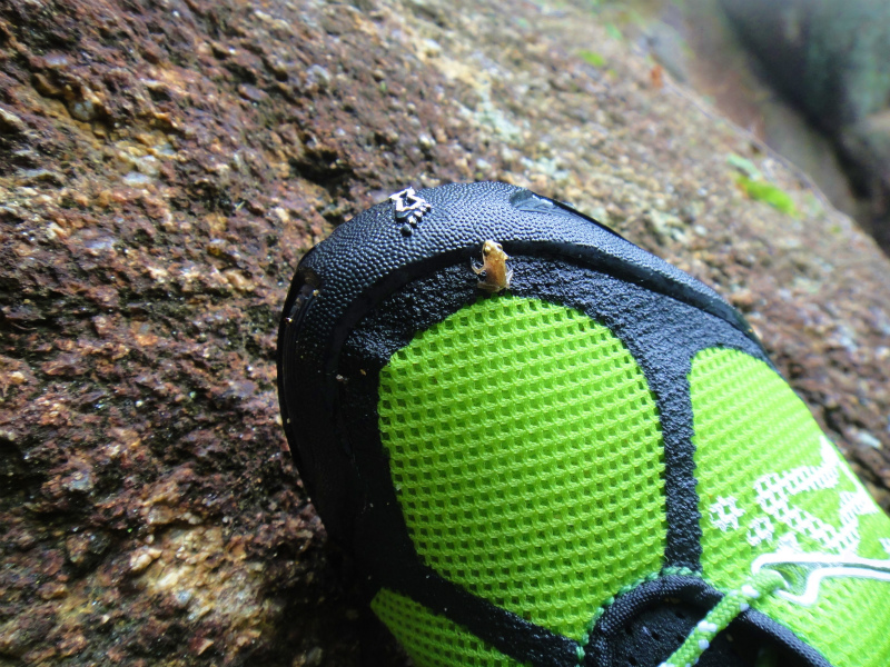 2011/06/27 Rock Garden Hiking_b0220886_1836311.jpg