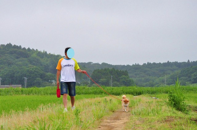 田んぼのど真ん中_a0126590_5225215.jpg
