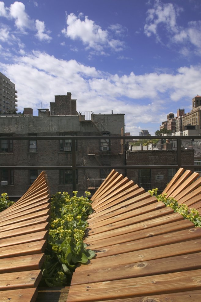 greenwich village roof garden :: graftworks design research architecture_f0089299_1415717.jpg