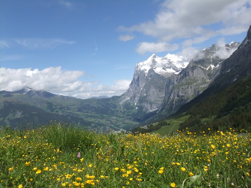 ハイジ～♪　ペ～タ～♪　憧れのスイス　Top of Europe　(6)　Jungfraujoch(ユングフラウヨッホ)　_d0224200_2047285.jpg