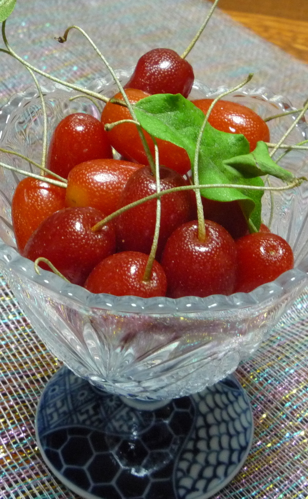 a0214206_23213089.jpg