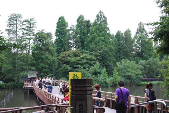 c0178114_37411.jpg
