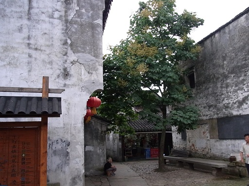 c0192215_155154100.jpg