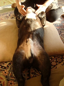 f0232522_2152874.gif