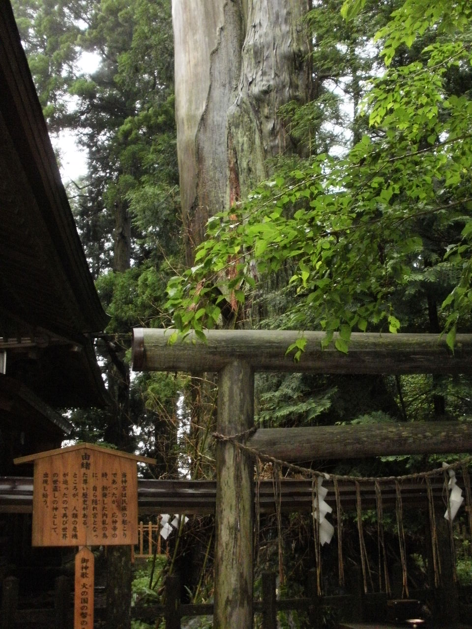 九州の旅路 その③_f0095325_639054.jpg