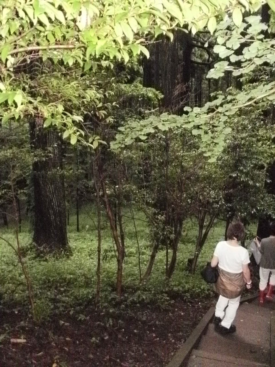 九州の旅路 その③_f0095325_640271.jpg