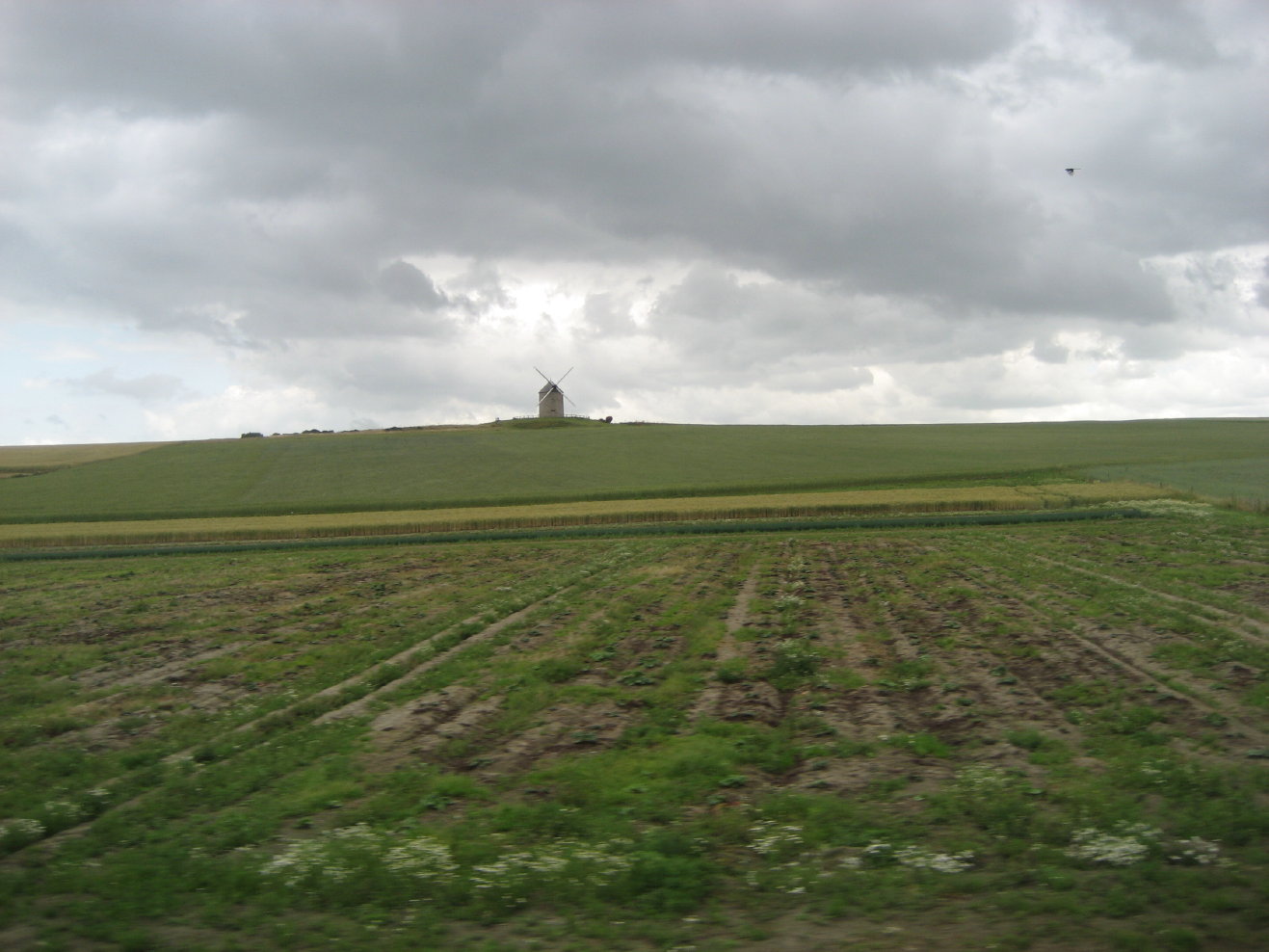 e0171029_1222340.jpg