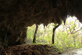 c0221732_23395452.jpg
